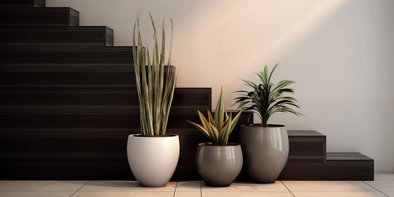 A group of potted plants in front of stairs