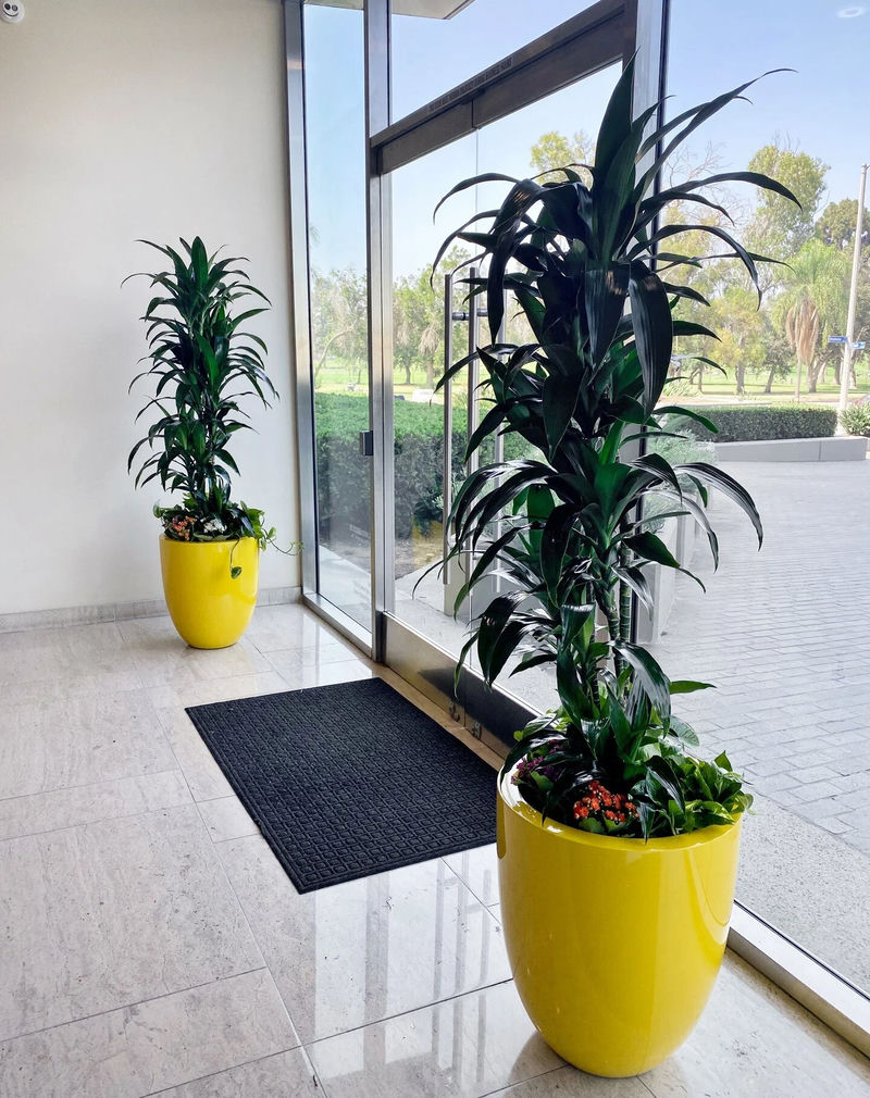Pops of yellow and green plants brightening an entrance