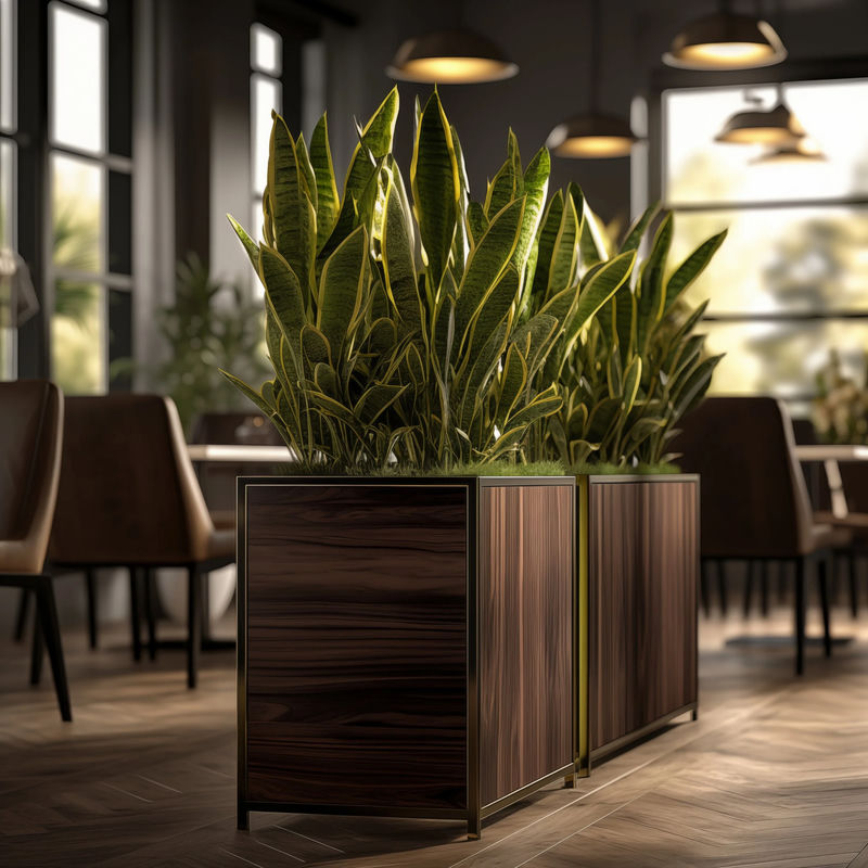 Plants in a planter within a common area